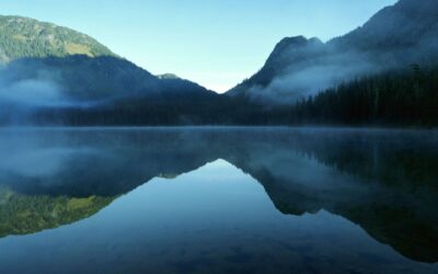 The End of Drama Trauma